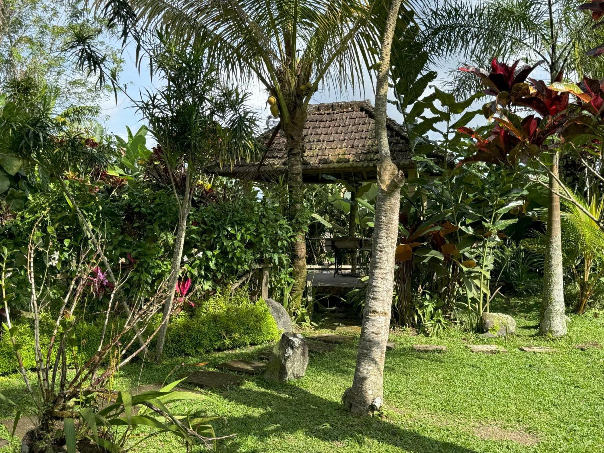 Dewa Jati Cottages Gianyar  Luaran gambar