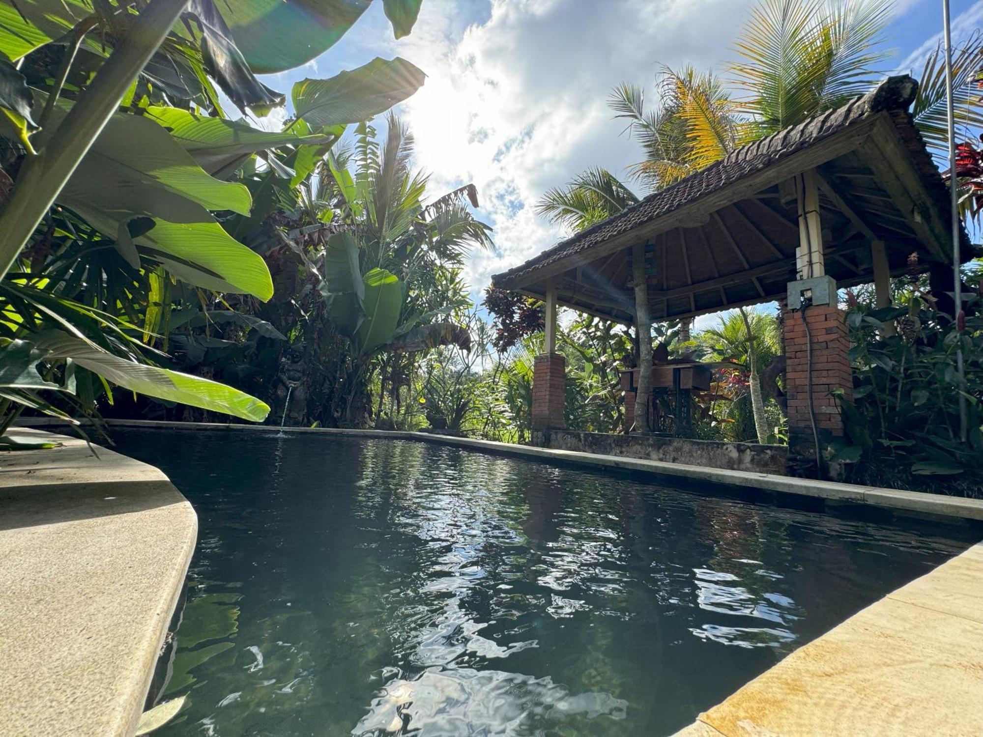 Dewa Jati Cottages Gianyar  Luaran gambar