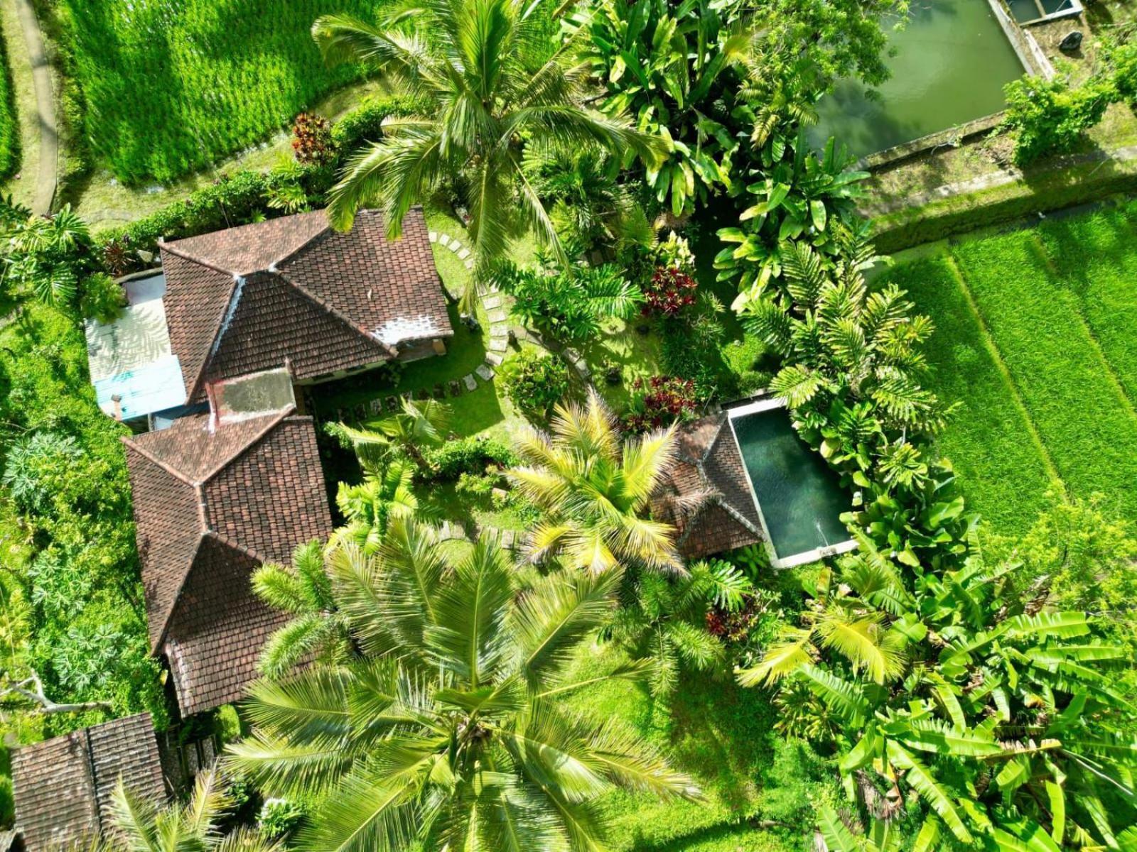 Dewa Jati Cottages Gianyar  Luaran gambar