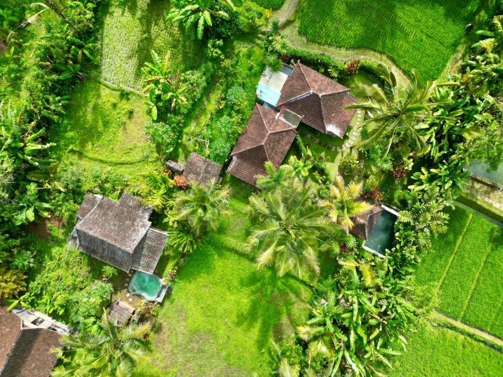 Dewa Jati Cottages Gianyar  Luaran gambar